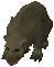Bear cub