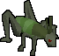 Locust