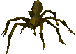 Giant spider