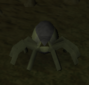 Crypt spider