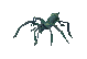 Giant crypt spider