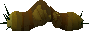 Bloodworm