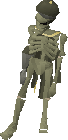 Skeleton -6-