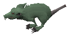 Giant Crypt rat