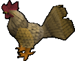 Evil Chicken