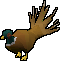 Pheasant
