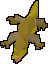 Small Lizard