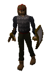 Guard -Central Falador-