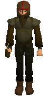 Guard -Falador Walls-