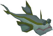 Mudskipper