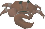 Crab -1-