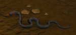 Big snake
