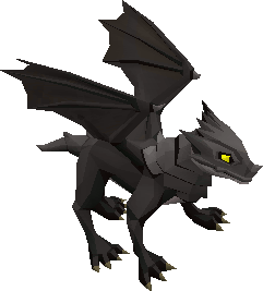 Baby black dragon