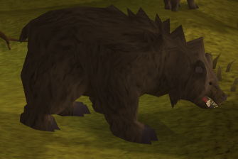 Grizzly bear -2-