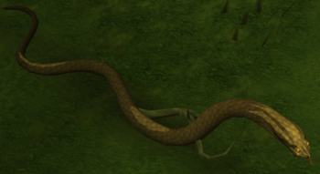 Swamp Snake -1-