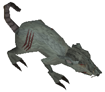 Giant Rat -Stronghold of Security-