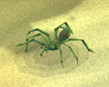 Jungle spider