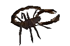 Scorpion -Security Stronghold- -2-