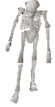 Skeleton -Stronghold of Security-