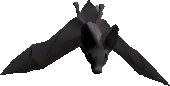 Albino bat