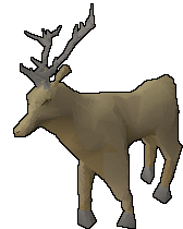 Stag