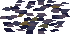 Scarab -2-