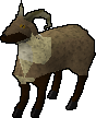 Billy Goat