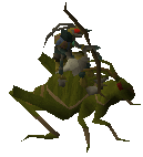 Locust rider -Range-