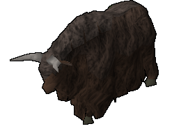 Yak