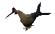 Swordchick