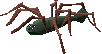 Spidine