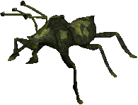 Cave Bug -2-