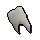 Human tooth