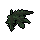Slaughtercress