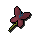 Red vine blossom