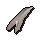 Thalassus tooth