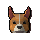 Corgi