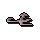 Squid