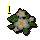 Lush blossoms
