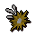 Huge fallen star (Prayer)