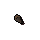 Elder seed