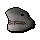 Tiger shark head