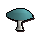 Wintercup mushroom