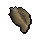 Conch shell -Port Sarim-