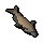 Raw catfish