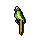 Drunk parrot