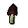 Black mushroom