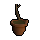 Apple sapling