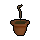 Banana sapling