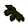 Kelp